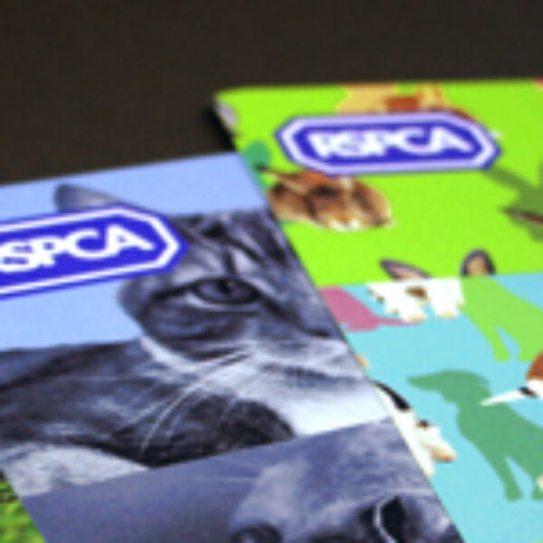 RSPCA_01